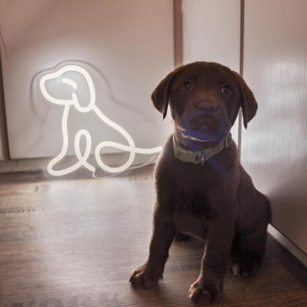 Little Puppy Neon Sign